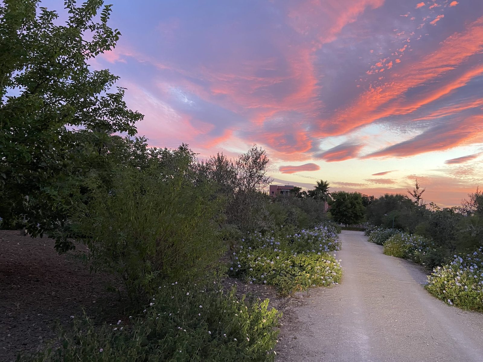Garten der Villa Cafaro im warmen Abendlicht des Salento